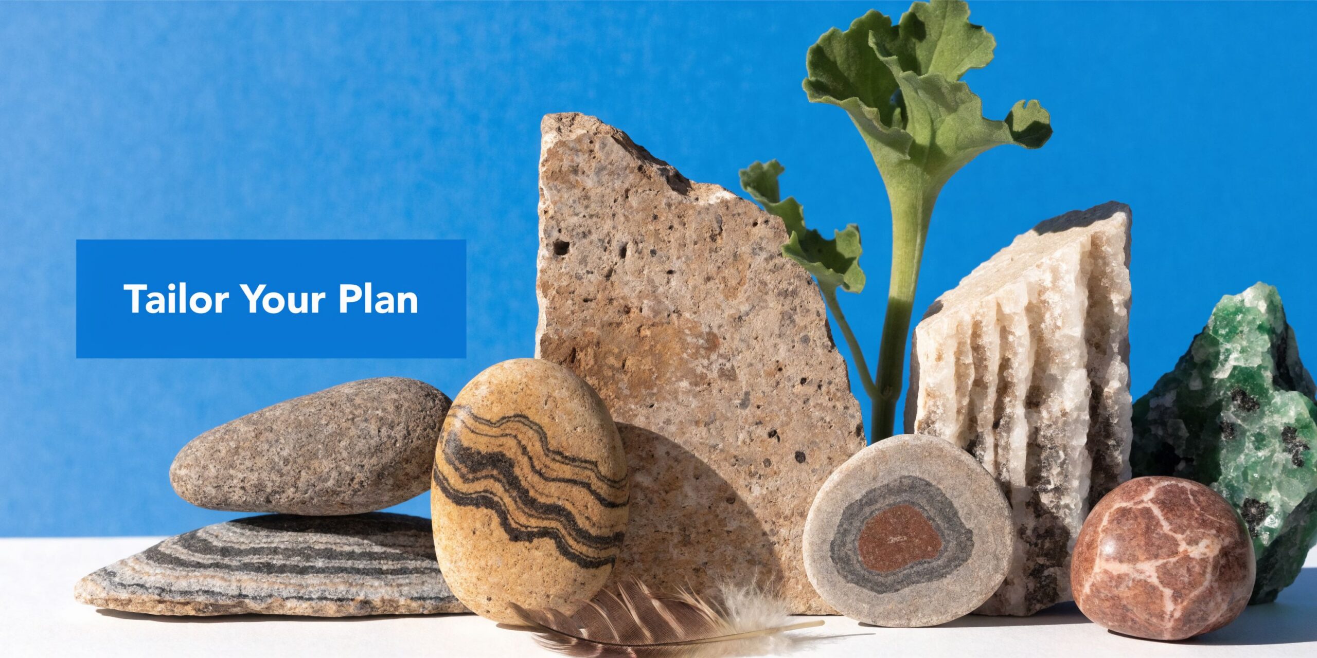 A serene display of varied rocks, a small plant, and a feather against a bright blue background.