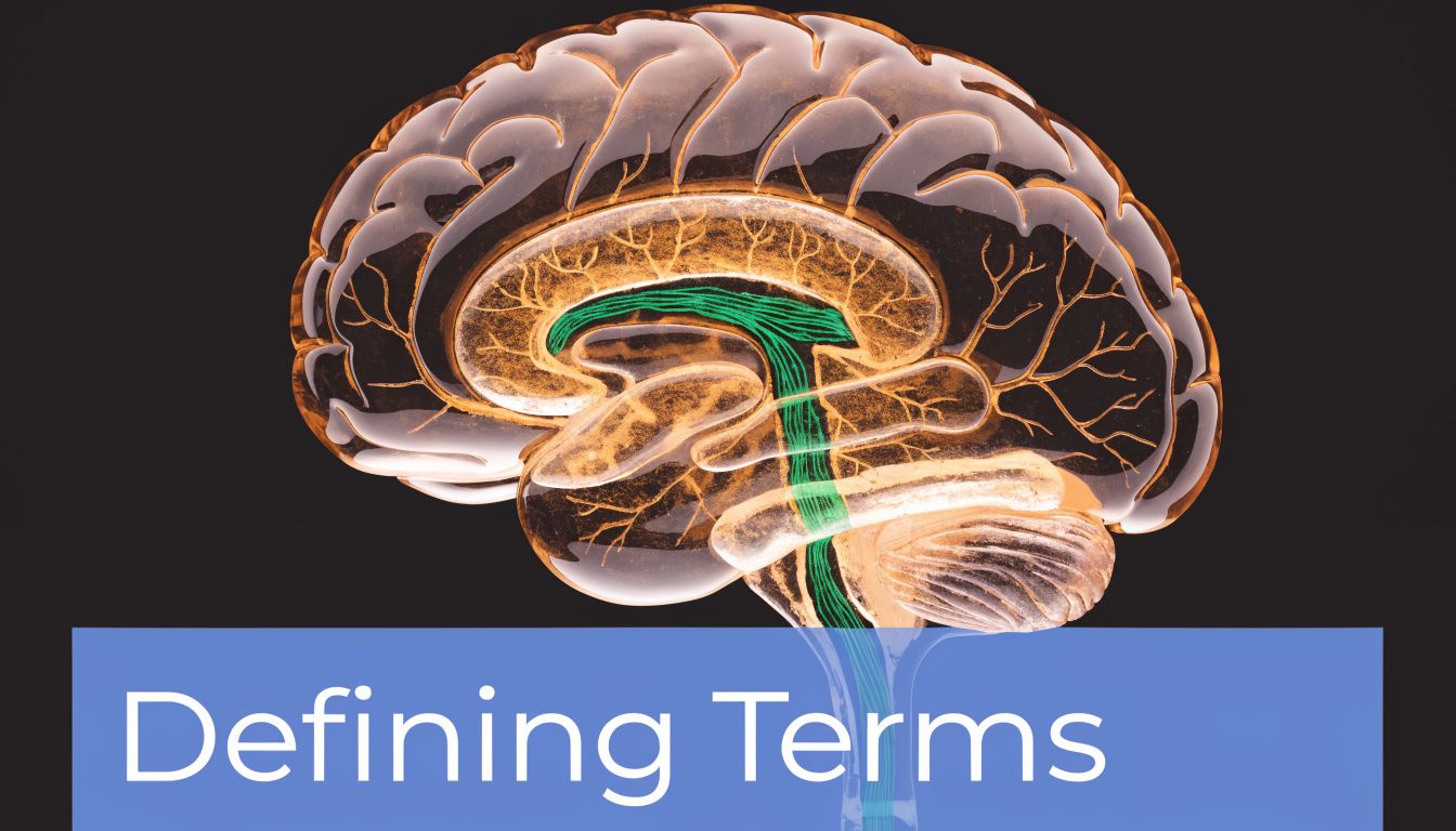 A 3D translucent brain model against a black background with the text Defining Terms below it.