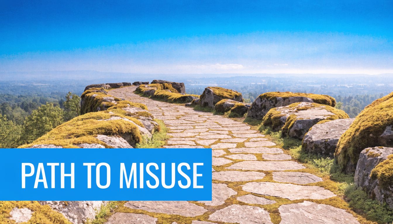 A stone path winding through a mossy rocky landscape under a clear blue sky.