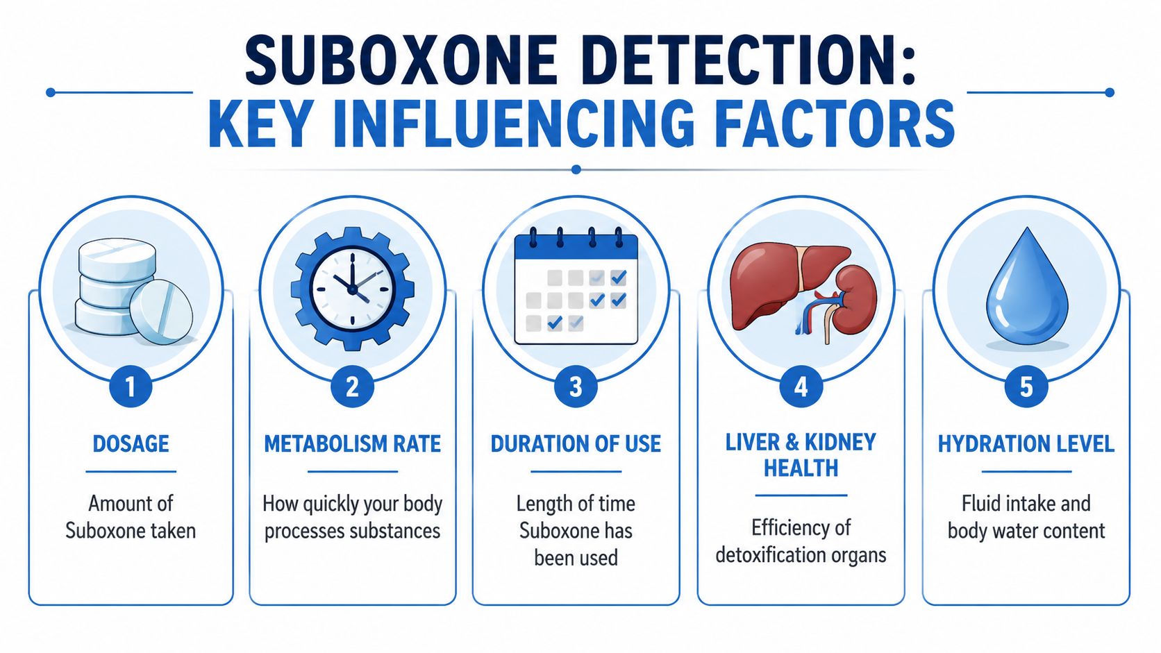 An infographic showing five key factors that influence how long Suboxone stays in your system.